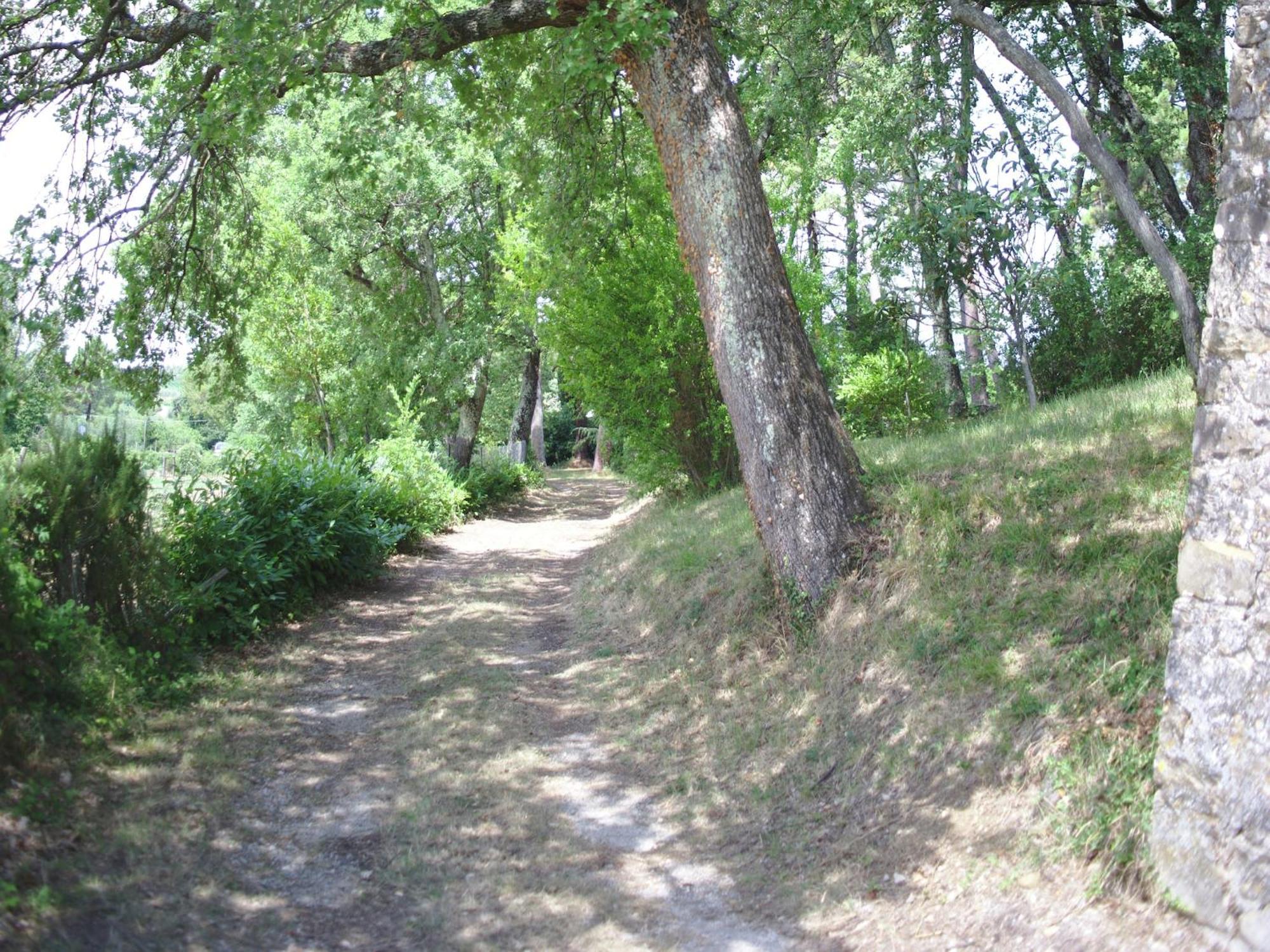 Lovely Holiday Home In Montefiridolfi With Hill View Екстер'єр фото