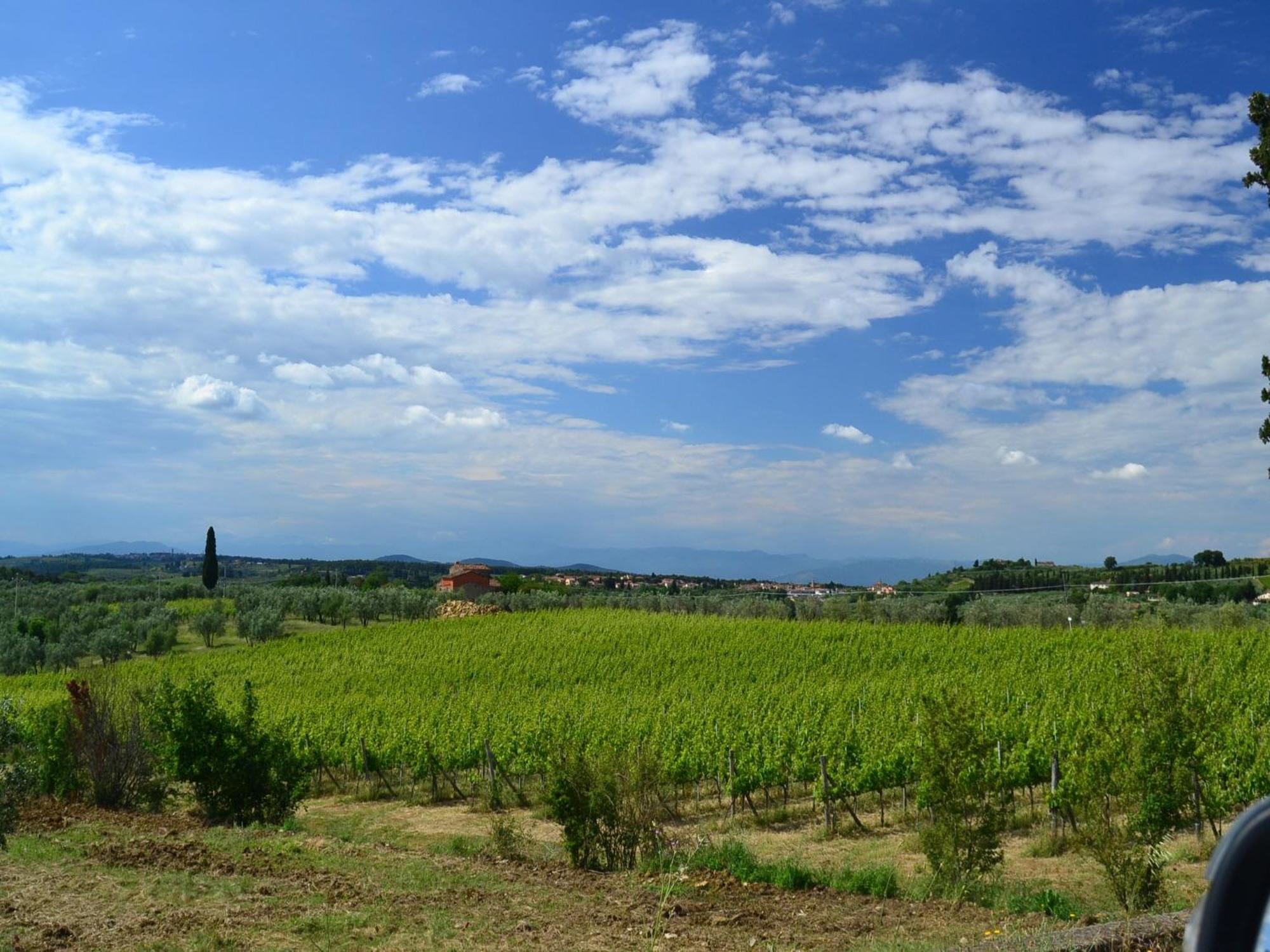 Lovely Holiday Home In Montefiridolfi With Hill View Екстер'єр фото