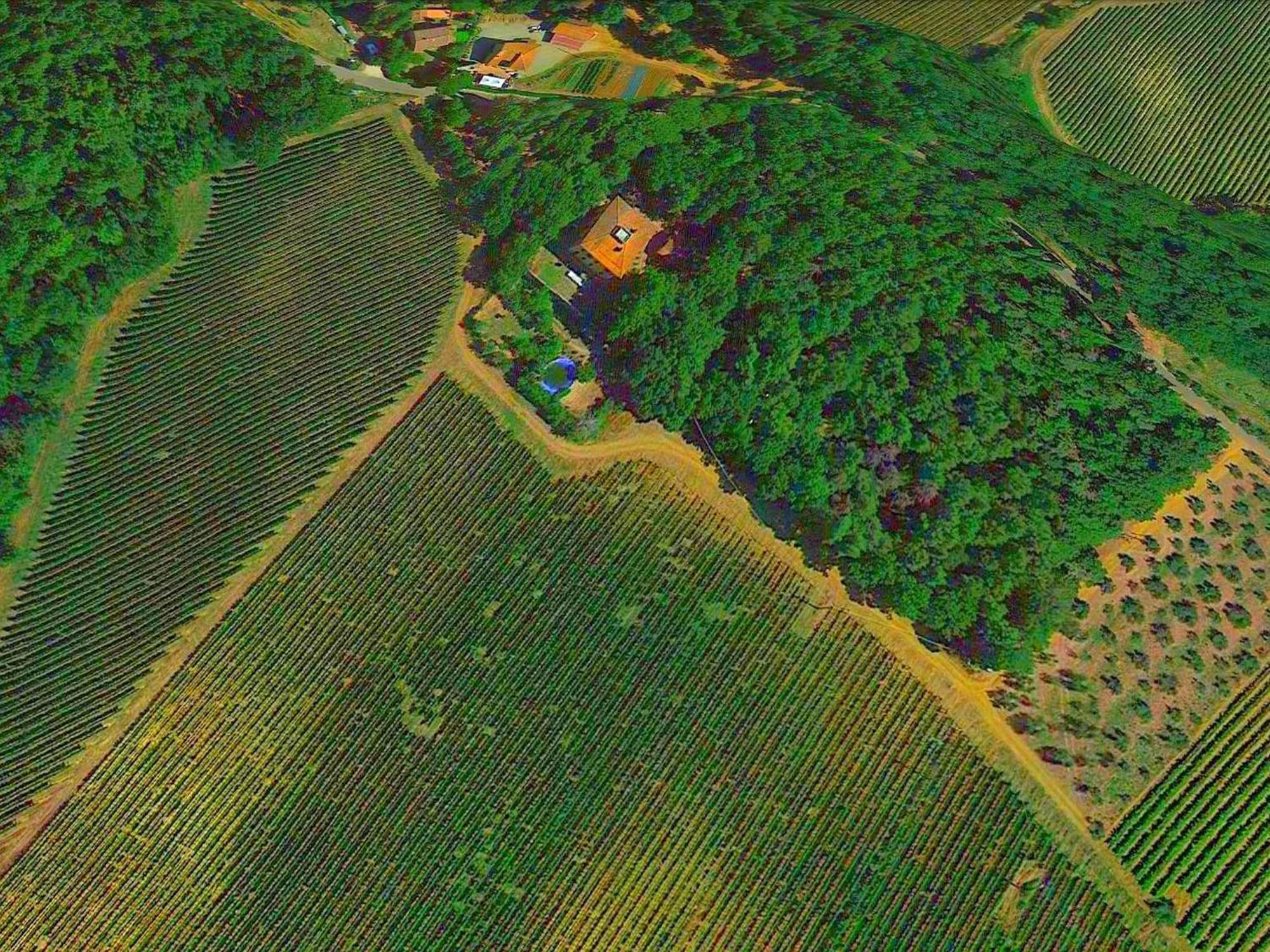 Lovely Holiday Home In Montefiridolfi With Hill View Екстер'єр фото