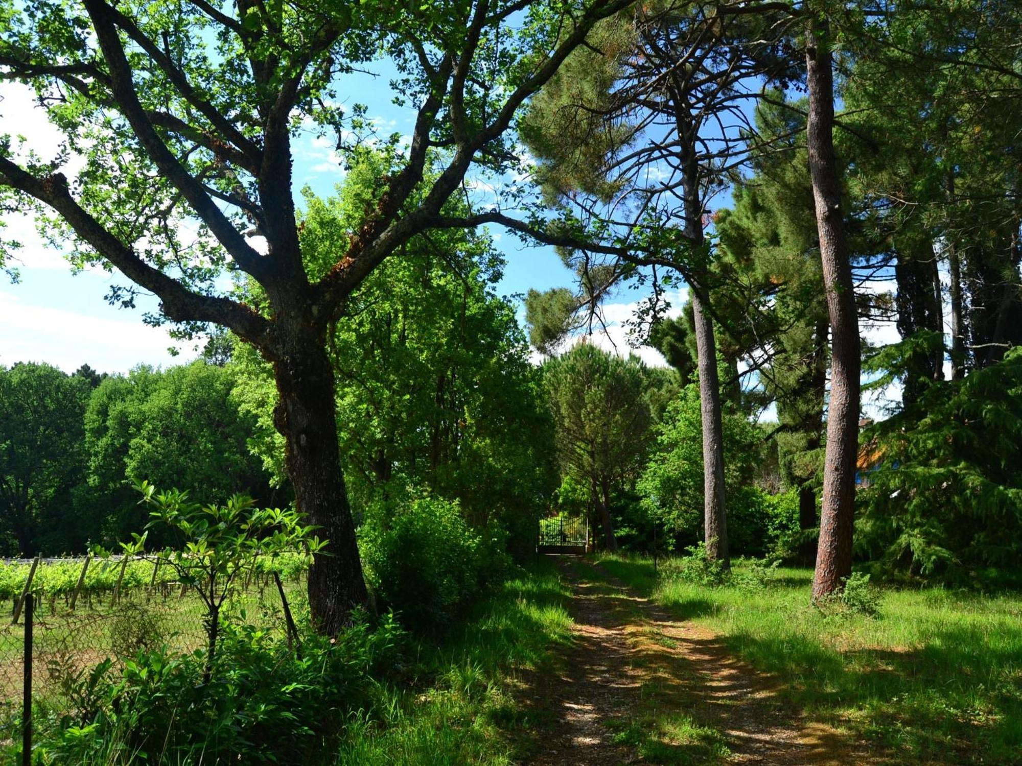 Lovely Holiday Home In Montefiridolfi With Hill View Екстер'єр фото