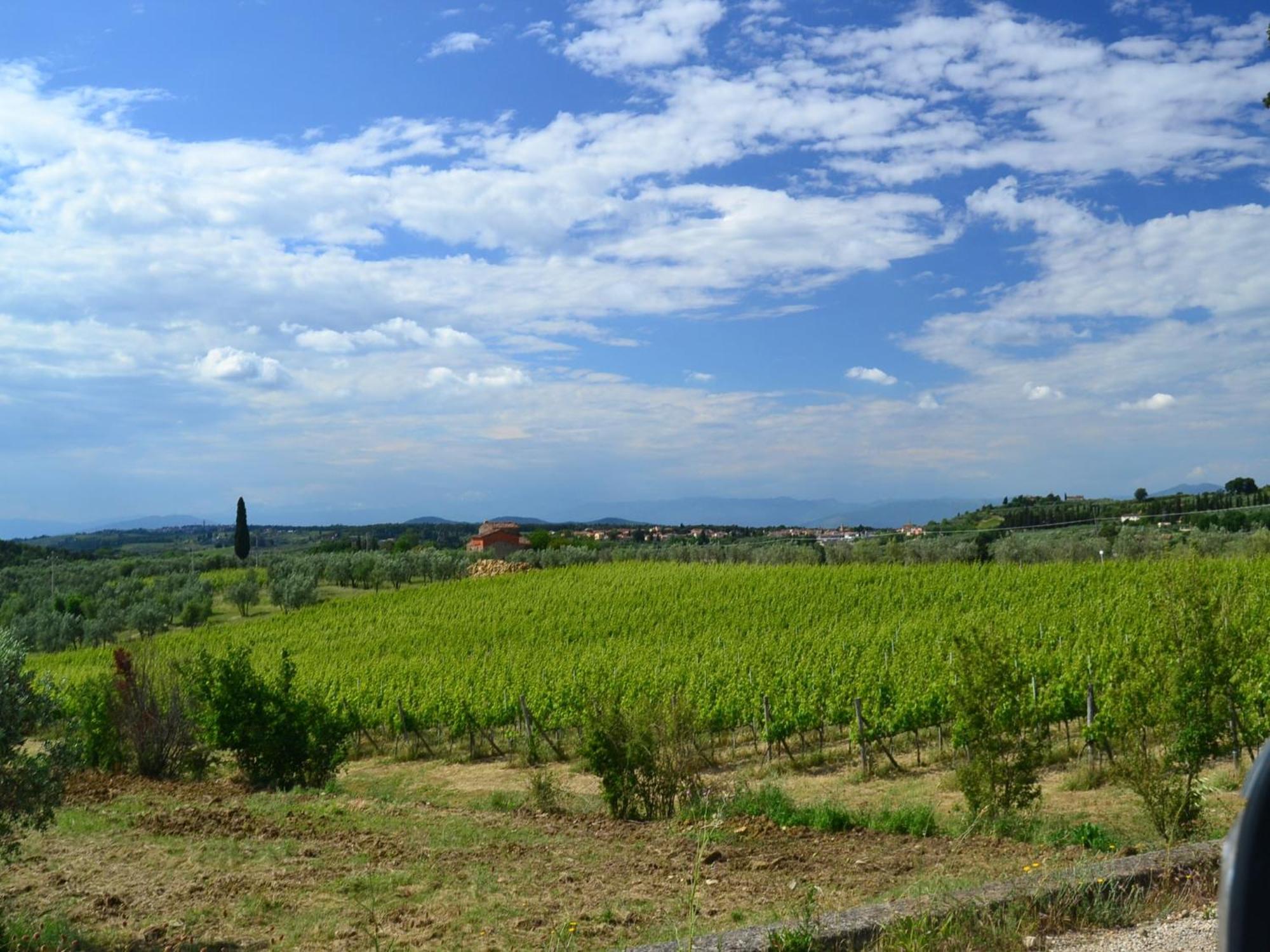 Lovely Holiday Home In Montefiridolfi With Hill View Екстер'єр фото