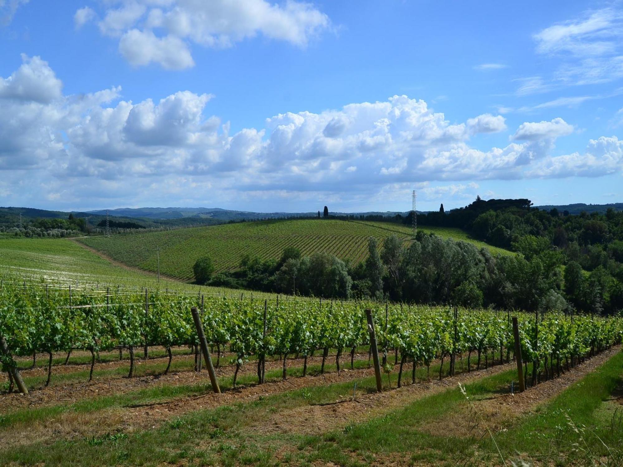 Lovely Holiday Home In Montefiridolfi With Hill View Екстер'єр фото