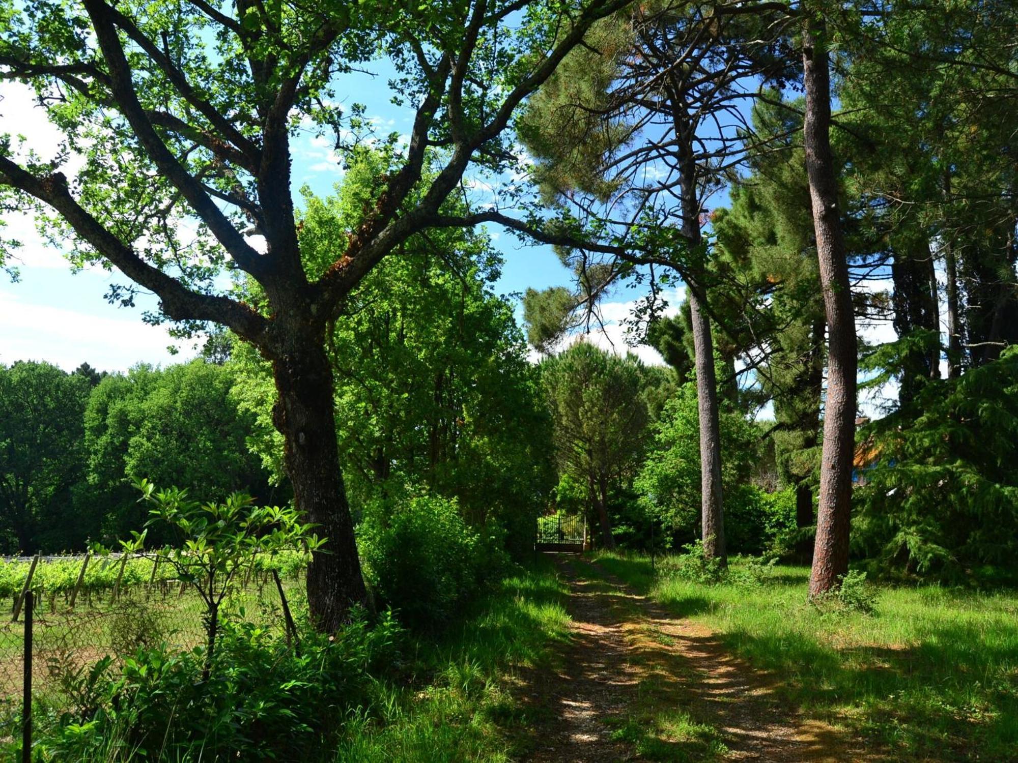 Lovely Holiday Home In Montefiridolfi With Hill View Екстер'єр фото
